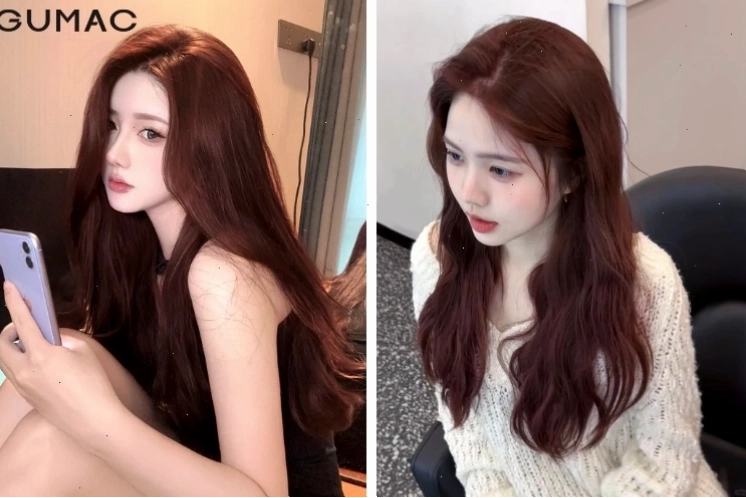 Bảng màu nâu đen ánh đỏ tôn da