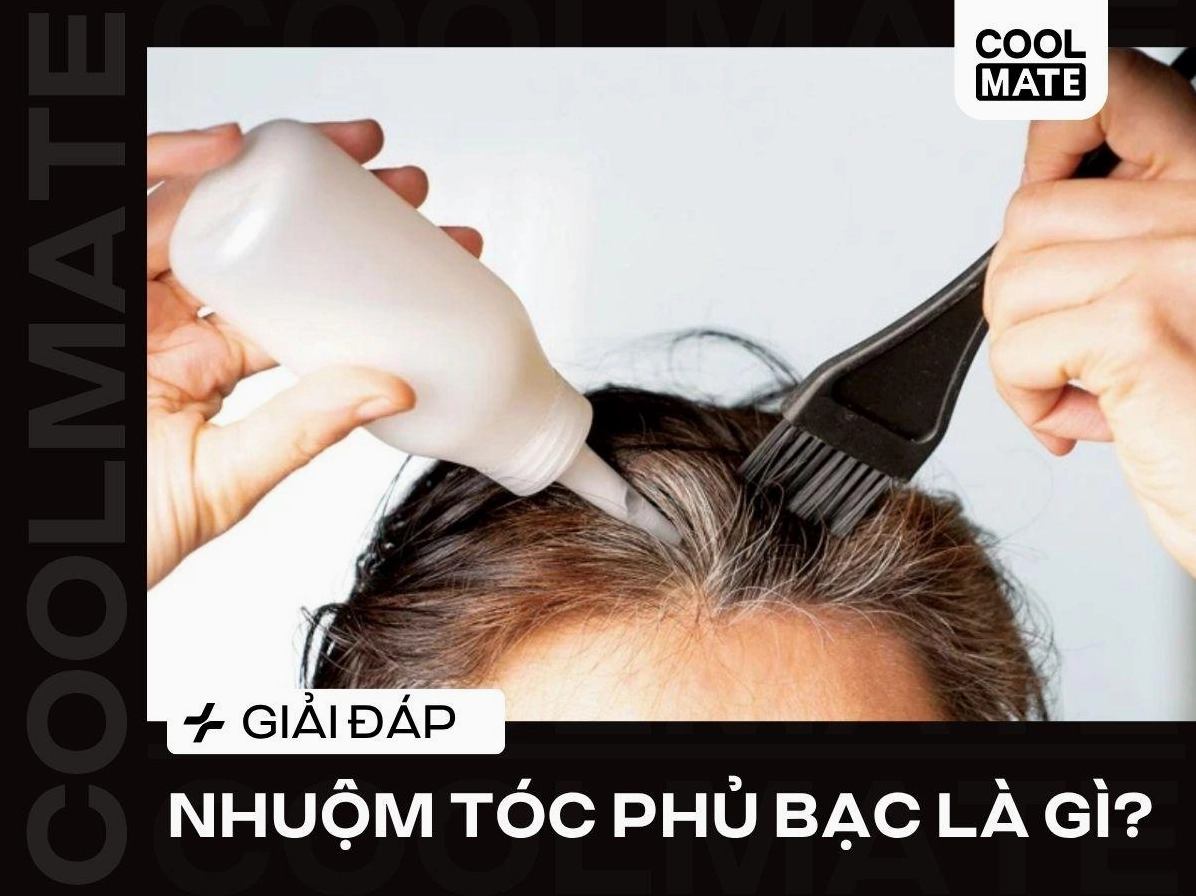 Có nên nhuộm tóc phủ bạc không những điều bạn cần biết 2026