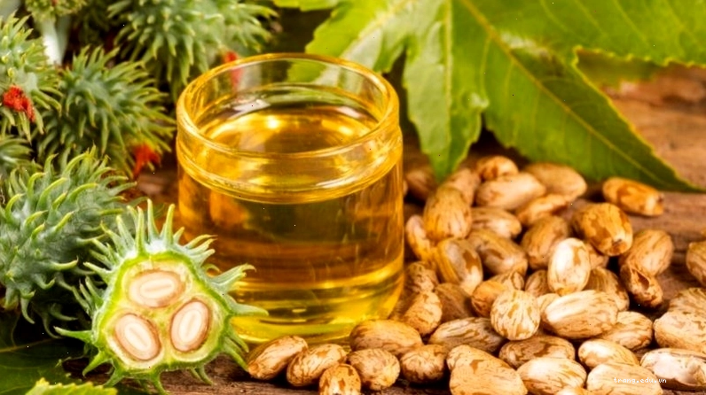 Dầu thầu dầu là dưỡng chất tuyệt vời cho tóc