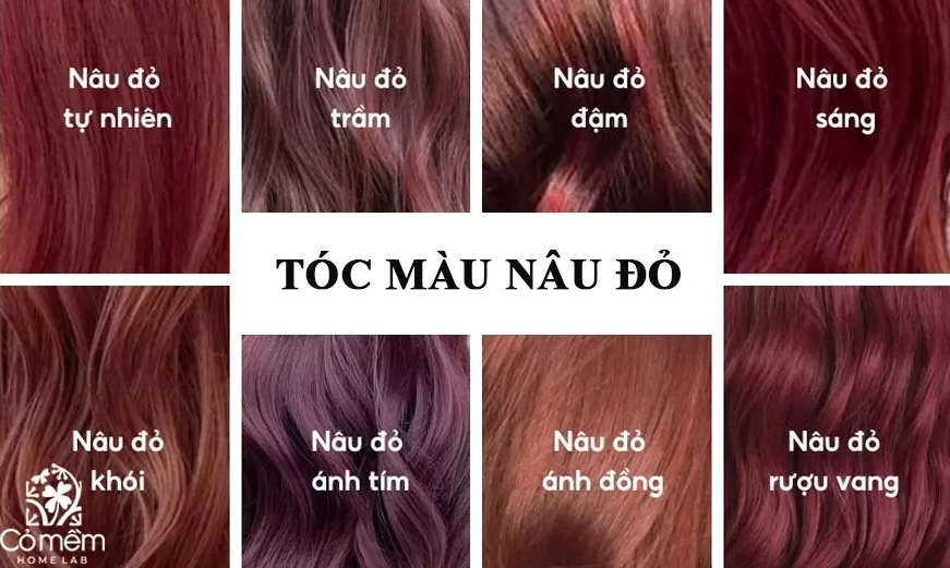 Khám phá sắc màu tóc nâu đỏ rượu vang quyến rũ và tôn da hiệu quả